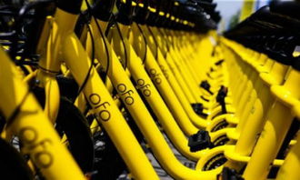 ofo 回應(yīng)異常扣費(fèi) 抖音回應(yīng)廣告業(yè)務(wù)被停 余額寶總規(guī)模達(dá) 1.8 萬(wàn)億元